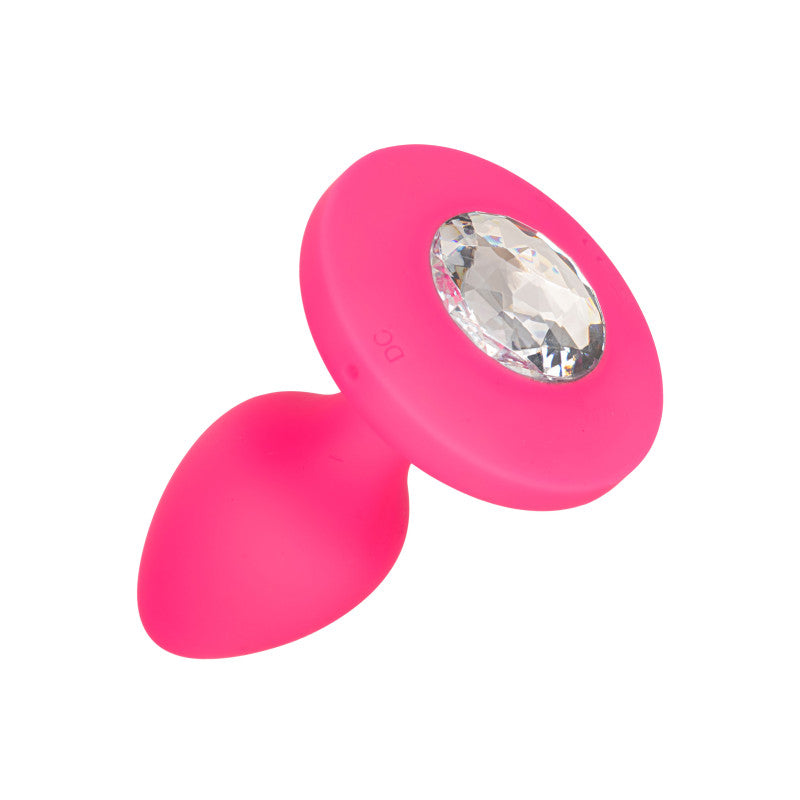 Plug Anale Probe Fucsia