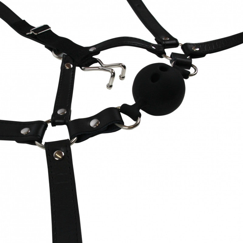 Imbracatura Viso Ball Gag