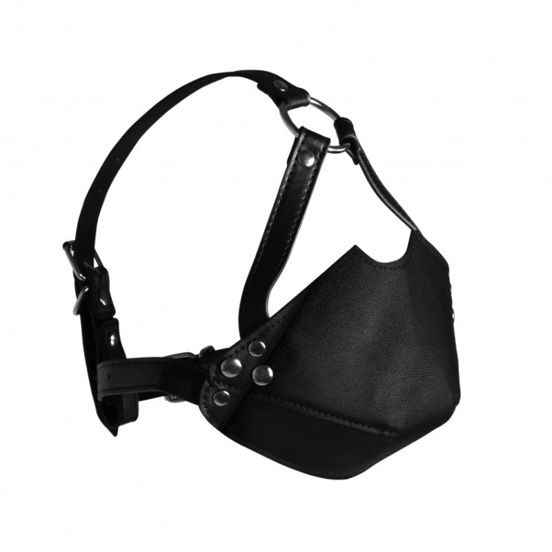 Imbracatura Viso Cover Gag