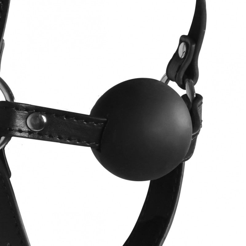 Imbracatura Viso Solid Ball