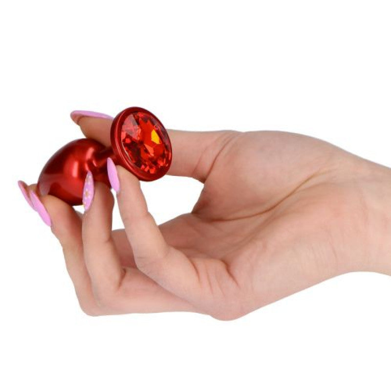 Plug Anale in Metallo Pleasure Night