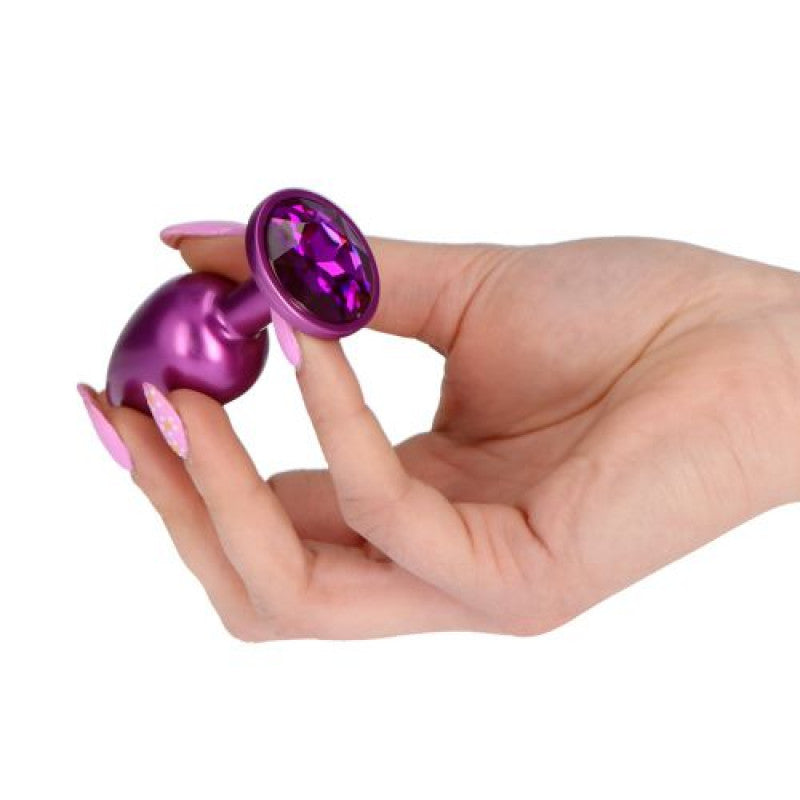 Plug Anale in Metallo Pleasure Night