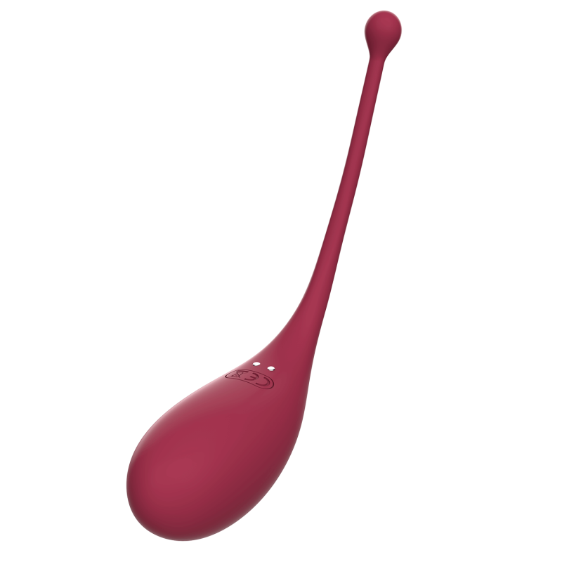 Suceur de clitoris et œuf vibrant Inspiration