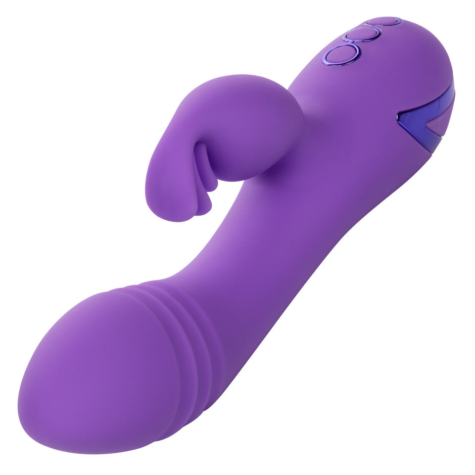 Vibrador de conejo de la costa oeste