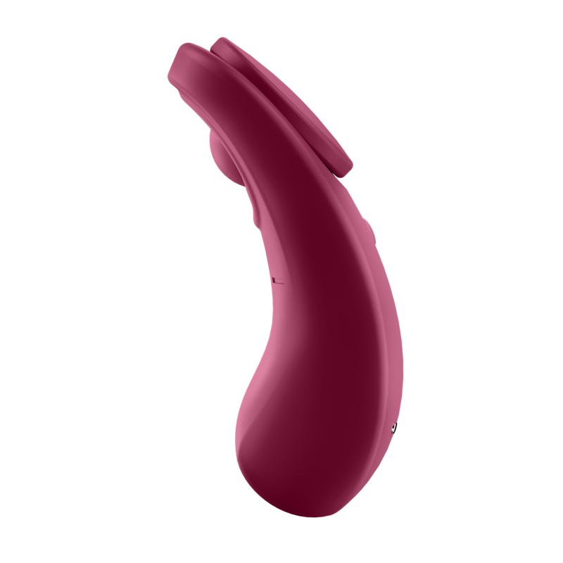 Vibrador con control remoto Sexy Secret