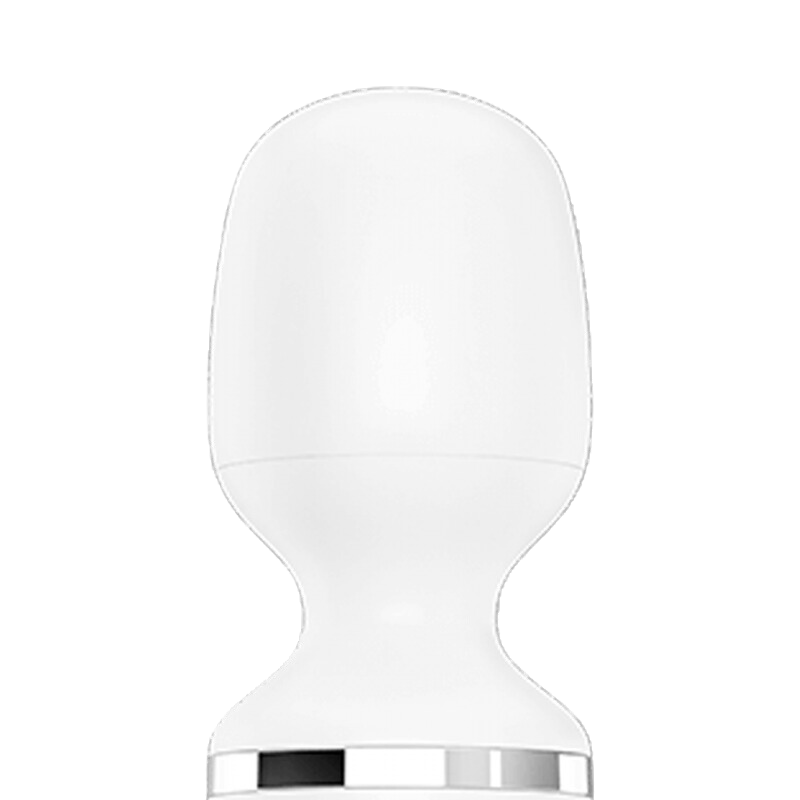Vibromasseur femme Wand Wand Er