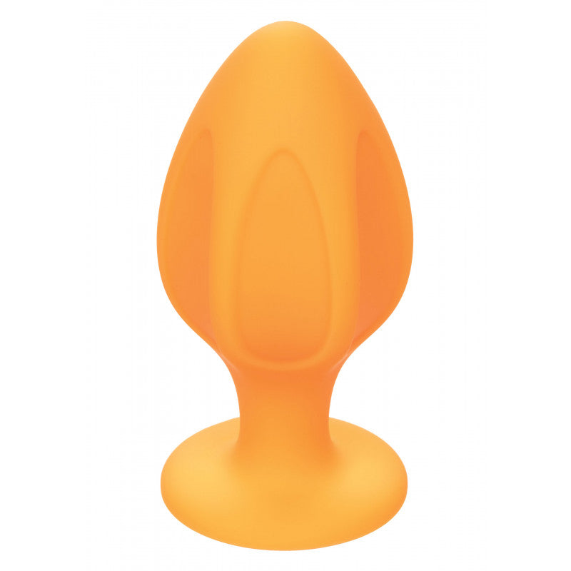 Tapón anal descarado