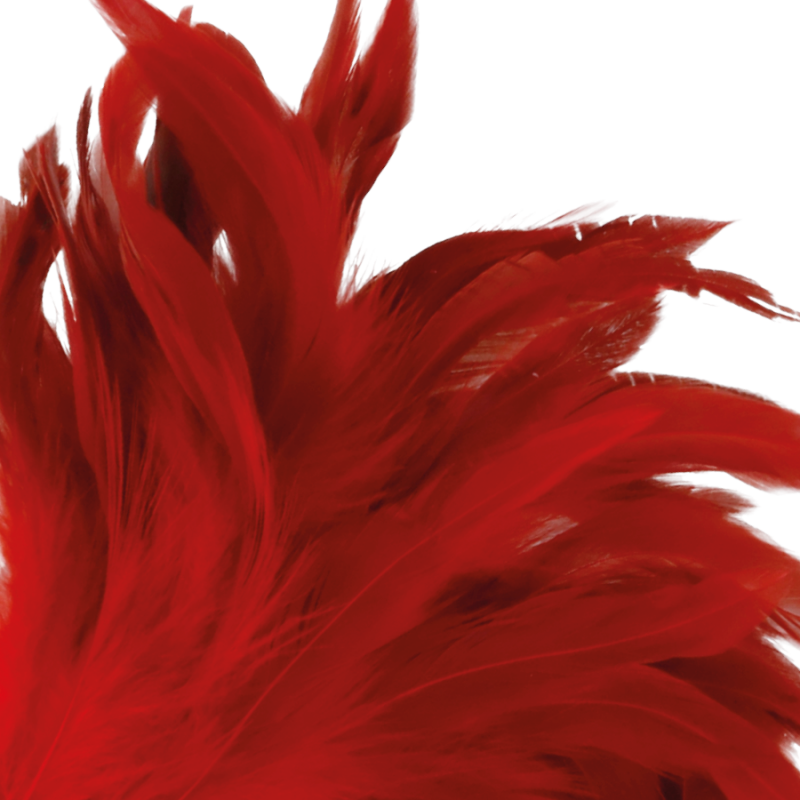 Piuma Red Feather
