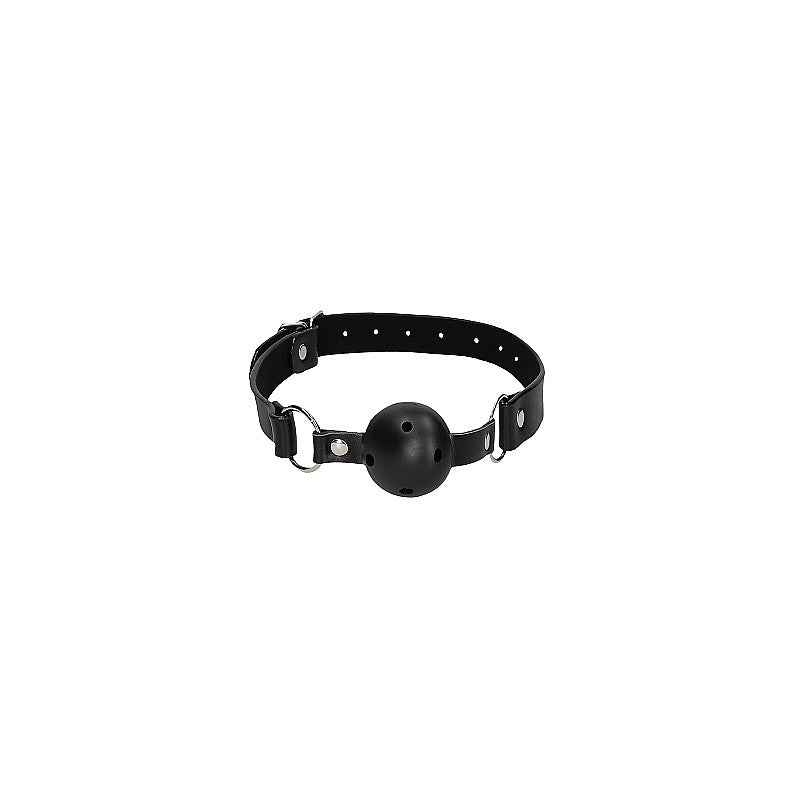 Gag Ball con Pinze per Capezzoli