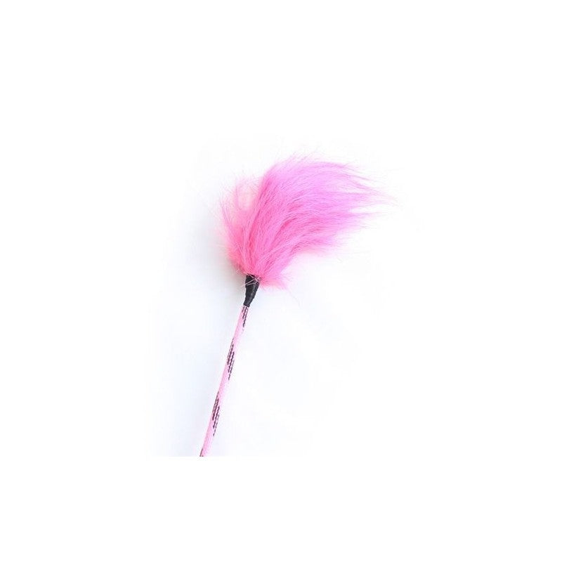 Fouet d&