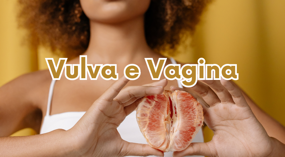 Vulva e Vagina: Le differenze