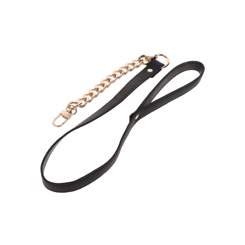 Collier avec laisse de déclaration