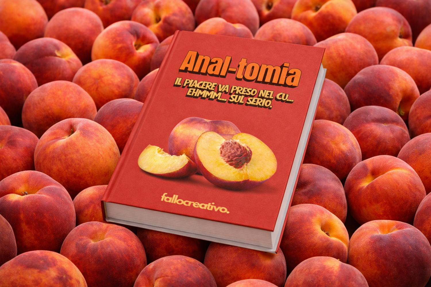 E Book Anal-Tomia: Tutto quello che devi sapere sul sesso anale