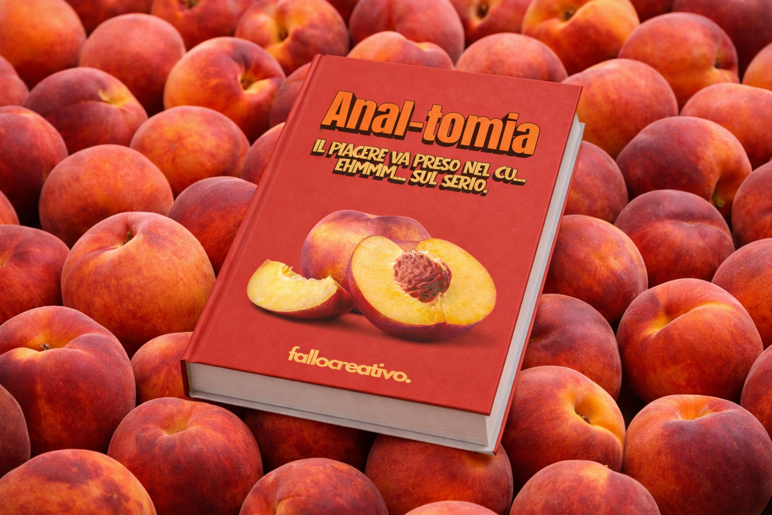 E Book Anal-Tomia: Tutto quello che devi sapere sul sesso anale