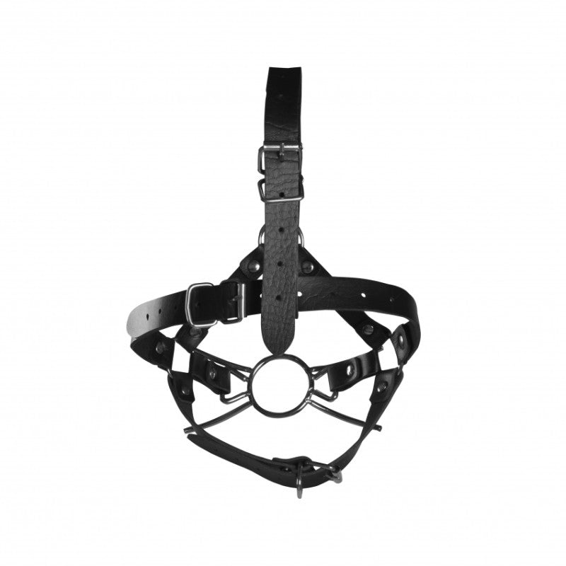 Imbracatura Viso Spider Gag