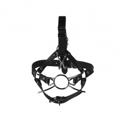 Imbracatura Viso Spider Gag