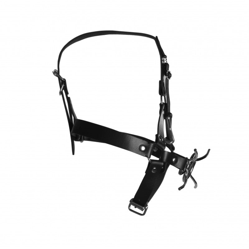 Imbracatura Viso Spider Gag