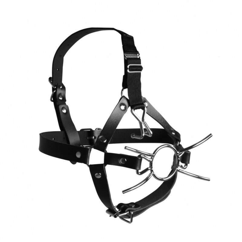 Imbracatura Viso Spider Gag