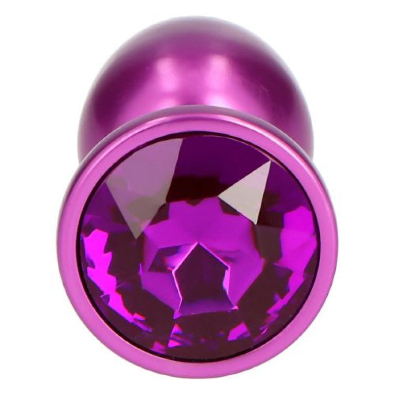 Plug Anale in Metallo Pleasure Night