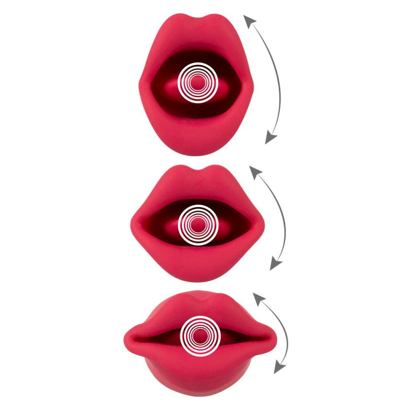 Stimulateur de plaisir oral