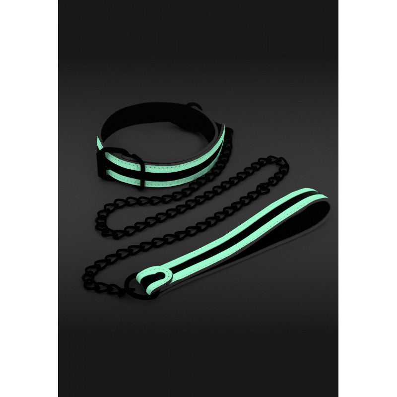 Collier Glo Et Laisse