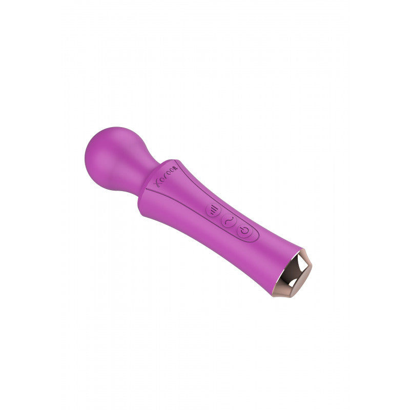 Vibromasseur Wand Personal Wand