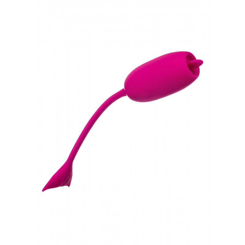 Oeuf vibrant Kegel Teaser 